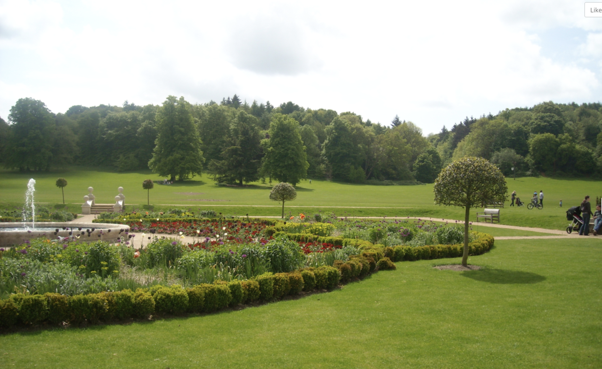 Sunken Gardens at Priory Park, just in front of the meeting bench